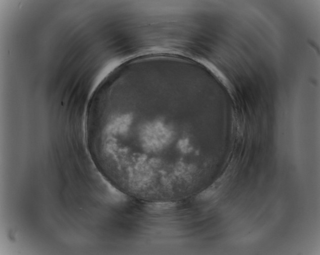 X0000091341294200708241215