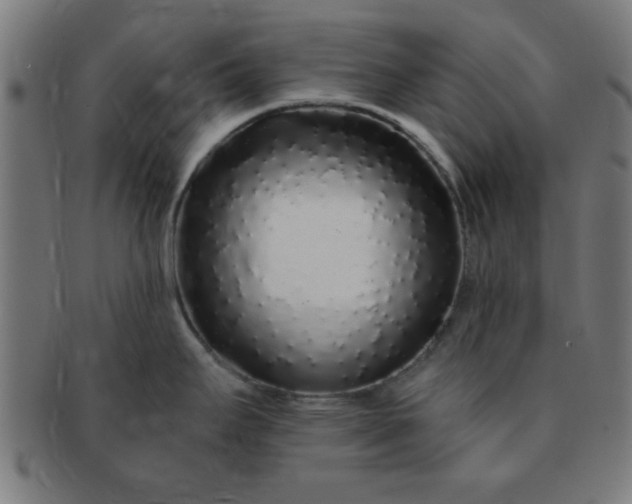 X0000091341295200708241215