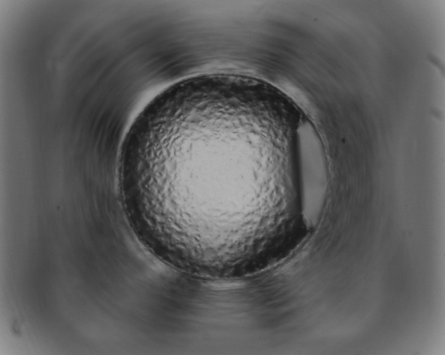 X0000091341296200708241215