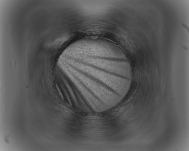 X0000091341297200708241214