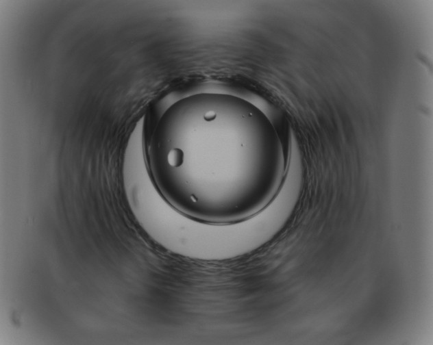 X0000091341298200708241214