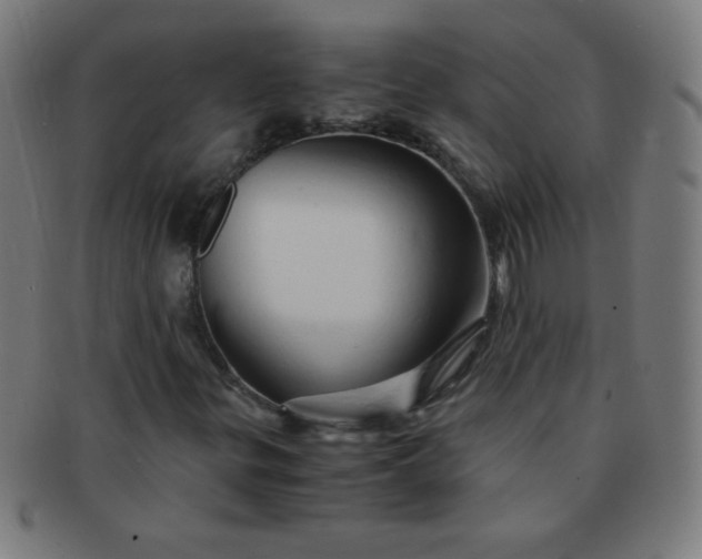 X0000091341299200708241214