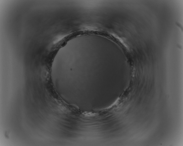 X0000091341303200708241214