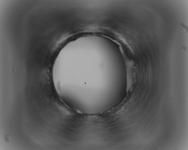 X0000091341304200708241214