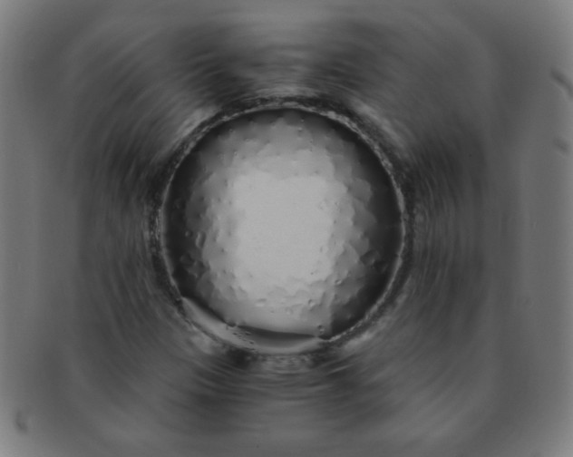 X0000091341305200708241214