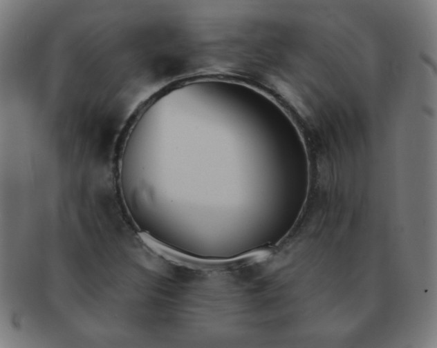 X0000091341308200708241214