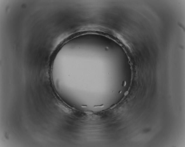 X0000091341312200708241214