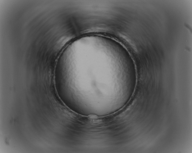 X0000091341313200708241214