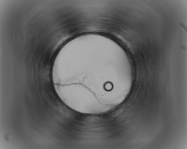 X0000091341314200708241214