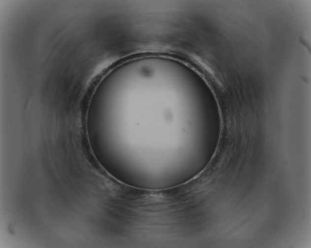 X0000091341315200708241214