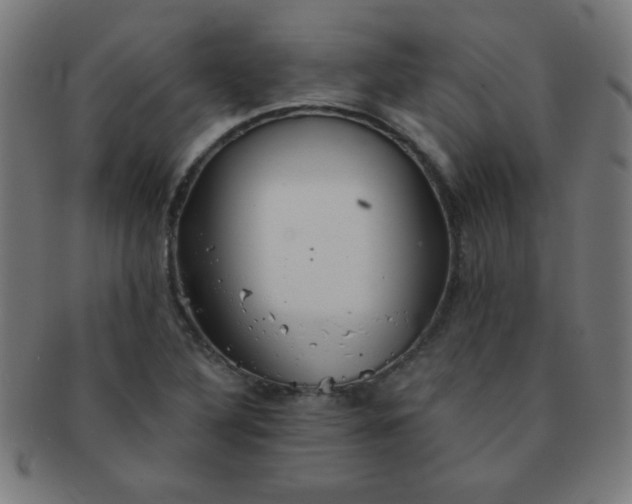 X0000091341316200708241214