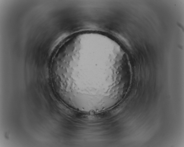 X0000091341318200708241214