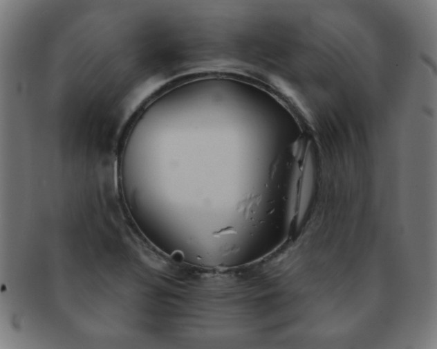 X0000091341320200708241214