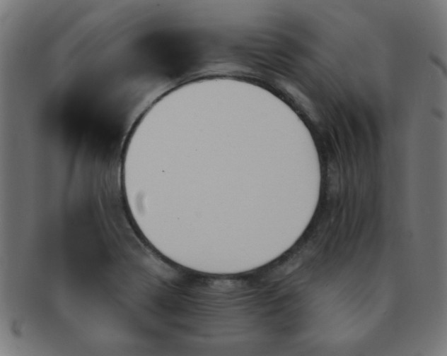 X0000091341322200708241214