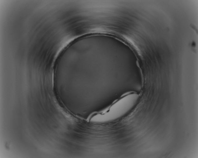 X0000091341323200708241214