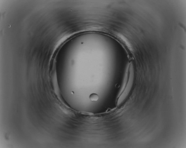 X0000091341324200708241214