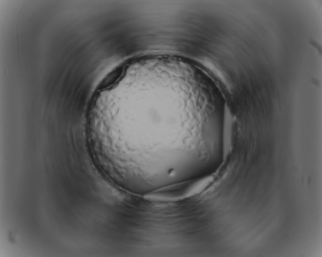 X0000091341325200708241214