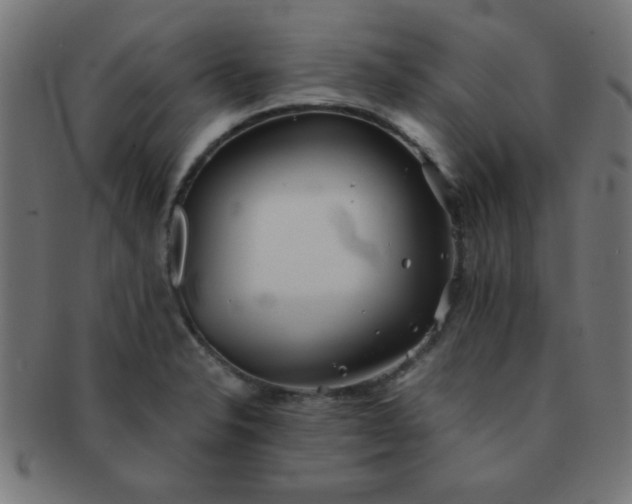 X0000091341326200708241214