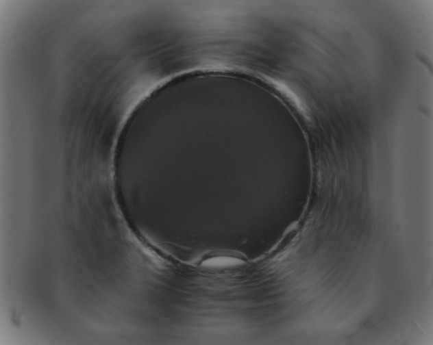 X0000091341327200708241214