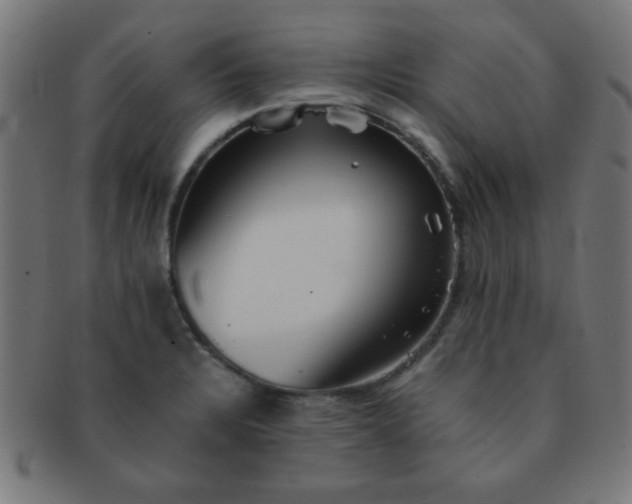 X0000091341328200708241214