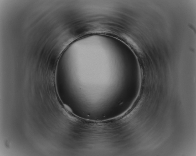 X0000091341329200708241214