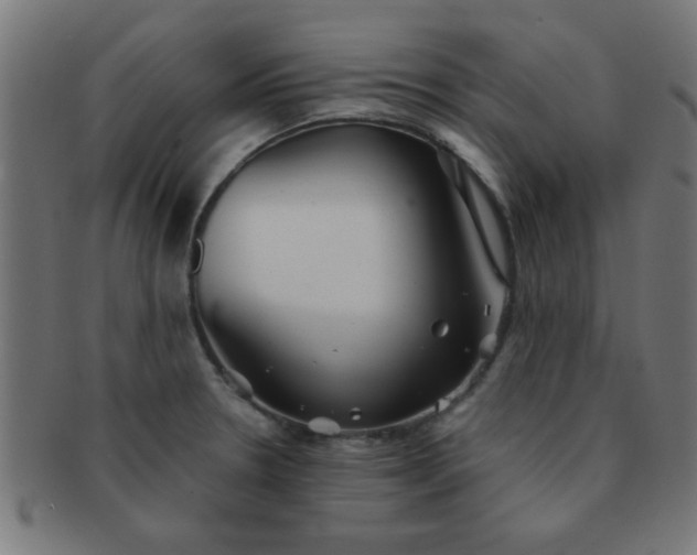 X0000091341330200708241215