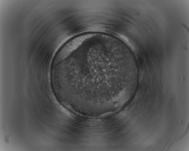 X0000091341331200708241215