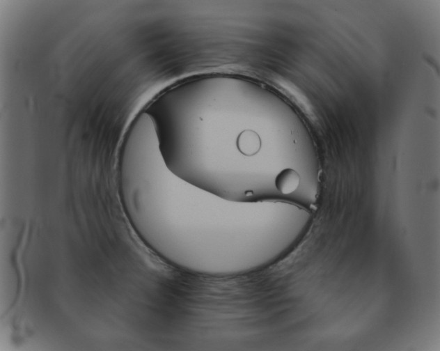 X0000091341332200708241215