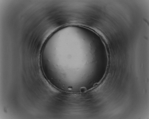 X0000091341333200708241215