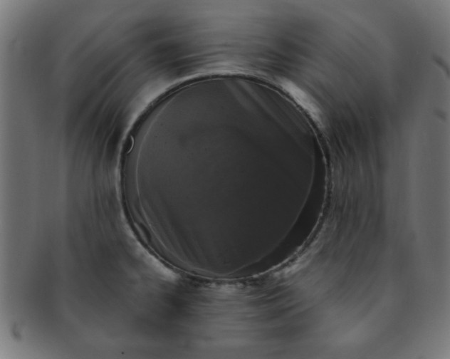 X0000091341334200708241215