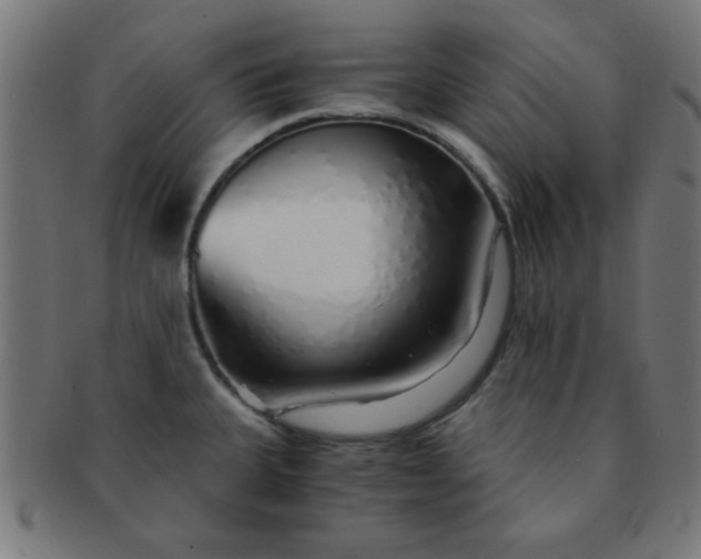 X0000091341335200708241215