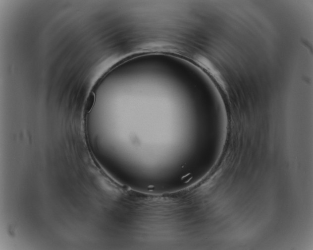 X0000091341336200708241215