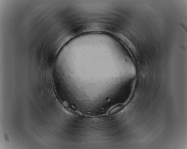 X0000091341337200708241215