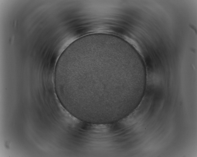 X0000091341338200708241215