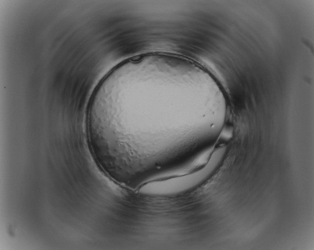 X0000091341339200708241215