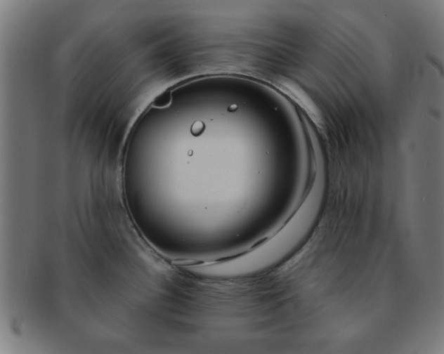 X0000091341340200708241215