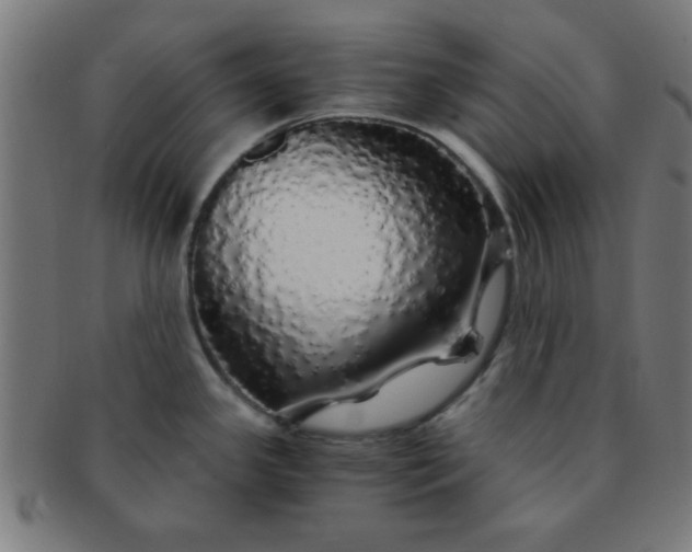 X0000091341341200708241215