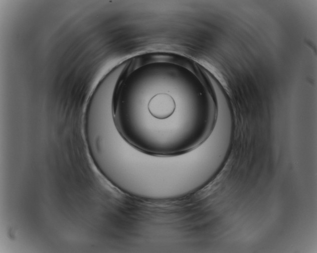 X0000091341342200708241215