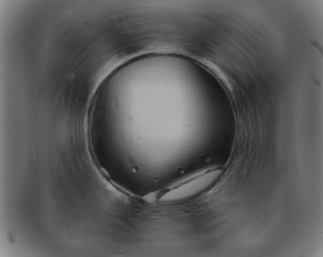 X0000091341343200708241215