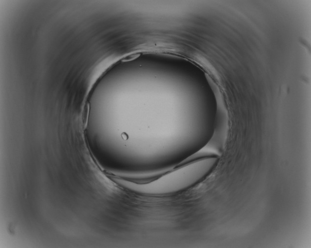 X0000091341344200708241215