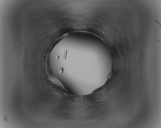 X0000091341345200708241214