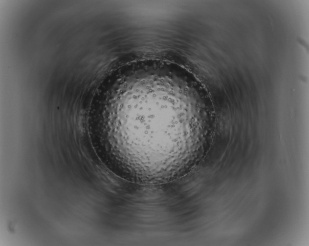 X0000091341346200708241214