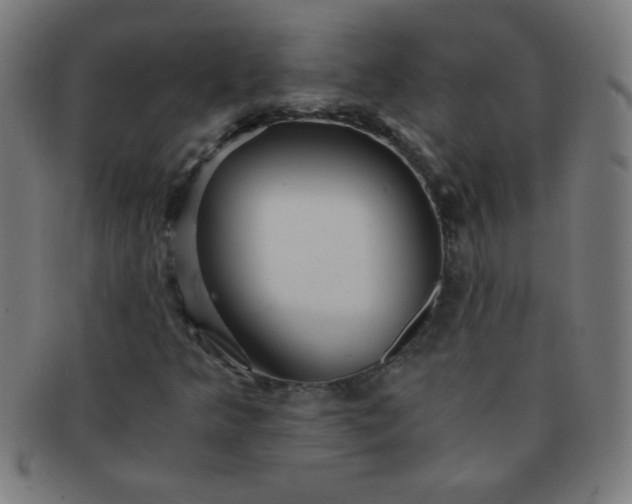 X0000091341349200708241214