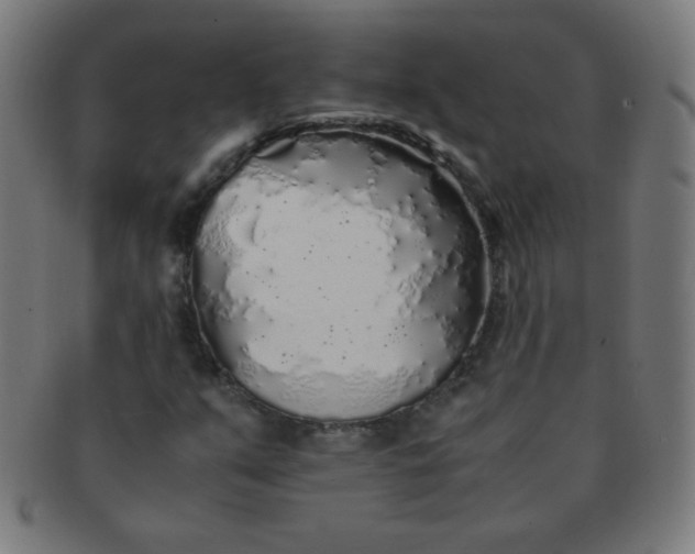 X0000091341351200708241214