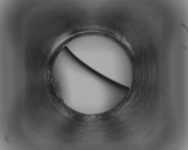 X0000091341352200708241214