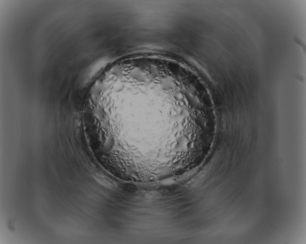 X0000091341355200708241214