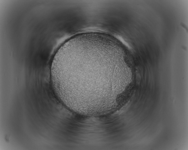 X0000091341358200708241214