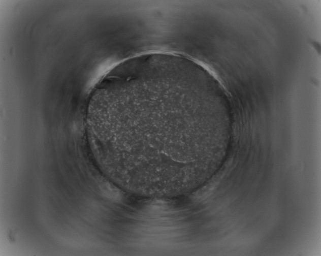 X0000091341359200708241214