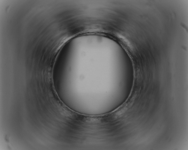 X0000091341361200708241214