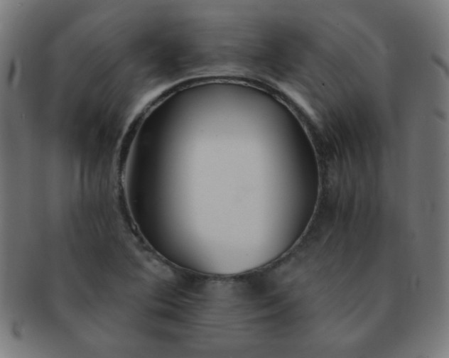 X0000091341364200708241214